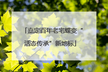 嘉定百年老宅蝶变“活态传承”新地标
