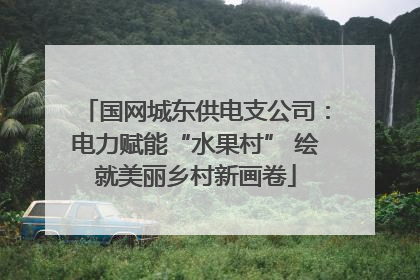 国网城东供电支公司：电力赋能“水果村” 绘就美丽乡村新画卷