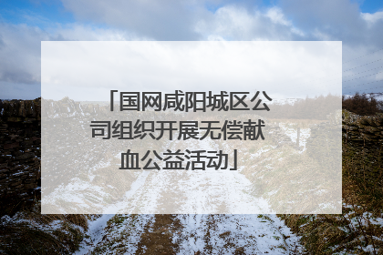 国网咸阳城区公司组织开展无偿献血公益活动