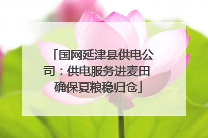 国网延津县供电公司：供电服务进麦田 确保夏粮稳归仓