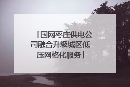 国网枣庄供电公司融合升级城区低压网格化服务