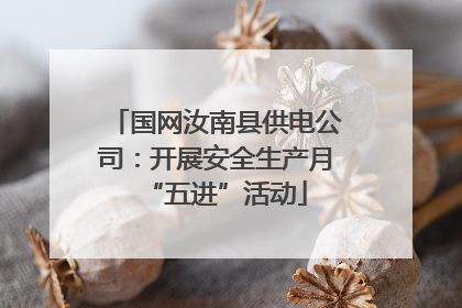 国网汝南县供电公司：开展安全生产月“五进”活动
