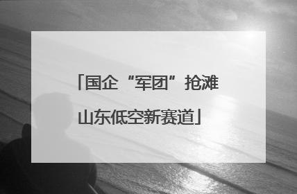 国企“军团”抢滩山东低空新赛道