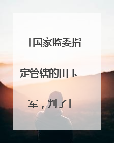 国家监委指定管辖的田玉军，判了