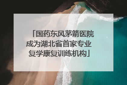 国药东风茅箭医院成为湖北省首家专业复学康复训练机构