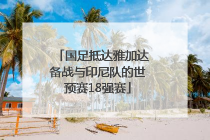 国足抵达雅加达备战与印尼队的世预赛18强赛