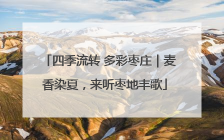 四季流转 多彩枣庄｜麦香染夏，来听枣地丰歌