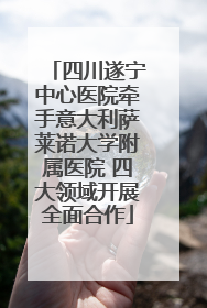 四川遂宁中心医院牵手意大利萨莱诺大学附属医院 四大领域开展全面合作