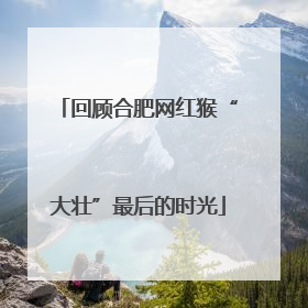回顾合肥网红猴“大壮”最后的时光