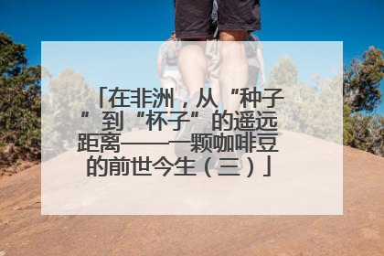 在非洲，从“种子”到“杯子”的遥远距离——一颗咖啡豆的前世今生（三）