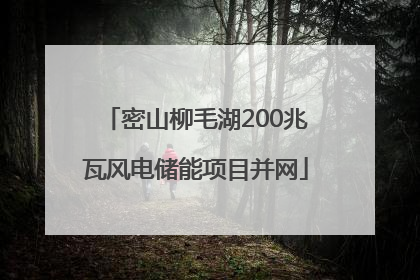 密山柳毛湖200兆瓦风电储能项目并网