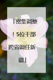 密集调整！5位干部跨省调任新疆