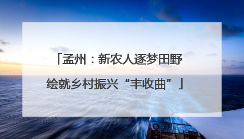 孟州：新农人逐梦田野 绘就乡村振兴“丰收曲”