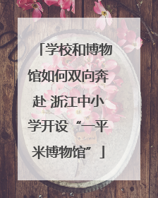 学校和博物馆如何双向奔赴 浙江中小学开设“一平米博物馆”