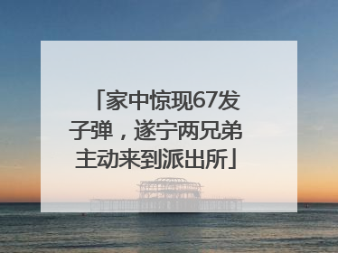 家中惊现67发子弹，遂宁两兄弟主动来到派出所
