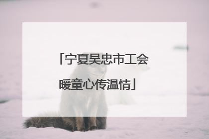 宁夏吴忠市工会暖童心传温情