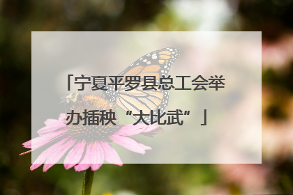 宁夏平罗县总工会举办插秧“大比武”