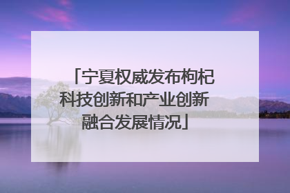 宁夏权威发布枸杞科技创新和产业创新融合发展情况