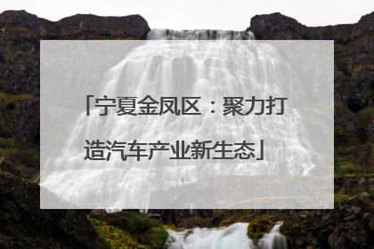 宁夏金凤区：聚力打造汽车产业新生态