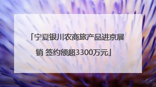 宁夏银川农商旅产品进京展销 签约额超3300万元