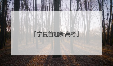 宁夏首迎新高考