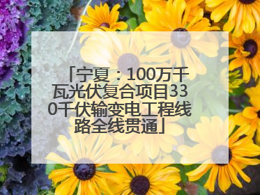 宁夏：100万千瓦光伏复合项目330千伏输变电工程线路全线贯通