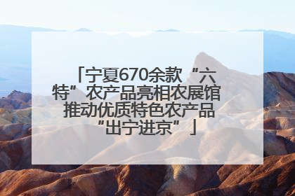 宁夏670余款“六特”农产品亮相农展馆 推动优质特色农产品“出宁进京”