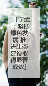 宁武：坚持绿色发展 推进生态建设取得显著成效