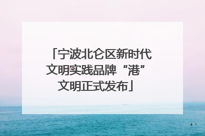 宁波北仑区新时代文明实践品牌“港”文明正式发布