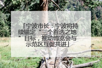 宁波市长：宁波将持续锚定“三个首选之地”目标，推动博览会与示范区互促共进
