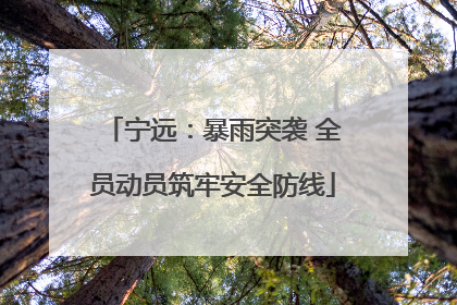 宁远：暴雨突袭 全员动员筑牢安全防线