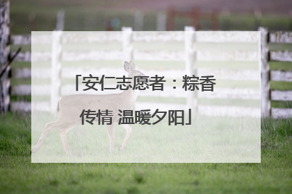 安仁志愿者：粽香传情 温暖夕阳