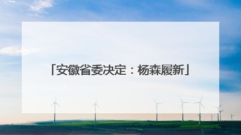 安徽省委决定：杨森履新