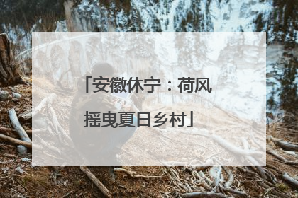 安徽休宁：荷风摇曳夏日乡村