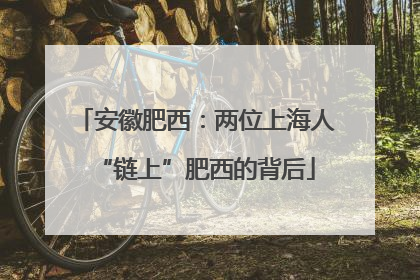 安徽肥西：两位上海人“链上”肥西的背后