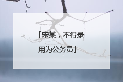 宋某，不得录用为公务员