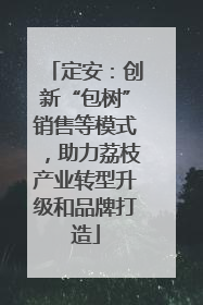定安：创新“包树”销售等模式，助力荔枝产业转型升级和品牌打造