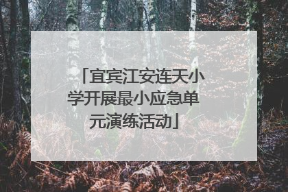 宜宾江安连天小学开展最小应急单元演练活动