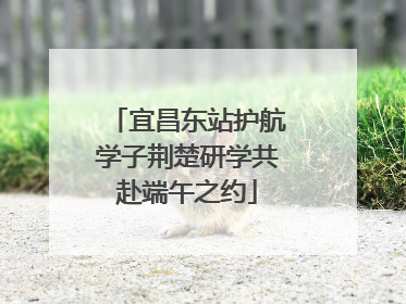 宜昌东站护航学子荆楚研学共赴端午之约
