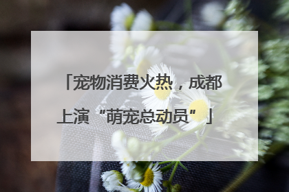 宠物消费火热，成都上演“萌宠总动员”