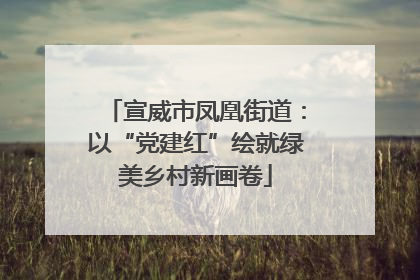 宣威市凤凰街道：以“党建红”绘就绿美乡村新画卷