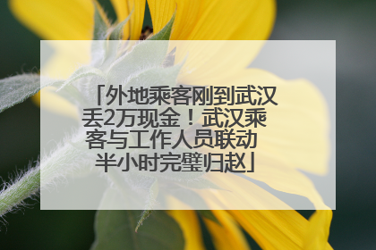 外地乘客刚到武汉丢2万现金！武汉乘客与工作人员联动 半小时完璧归赵