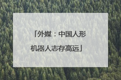 外媒：中国人形机器人志存高远