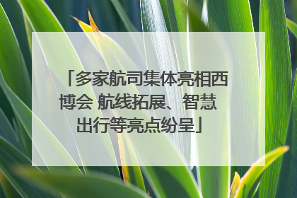 多家航司集体亮相西博会 航线拓展、智慧出行等亮点纷呈