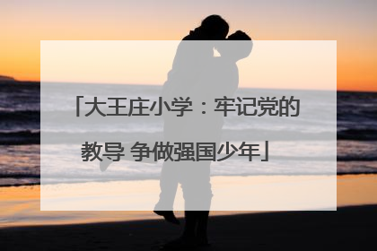 大王庄小学：牢记党的教导 争做强国少年