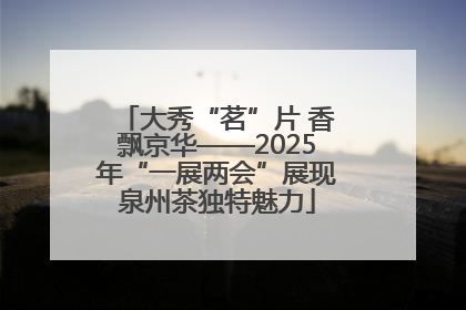 大秀“茗”片 香飘京华——2025年“一展两会”展现泉州茶独特魅力