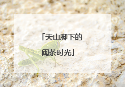 天山脚下的闽茶时光