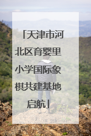 天津市河北区育婴里小学国际象棋共建基地启航