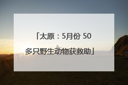 太原：5月份 50多只野生动物获救助