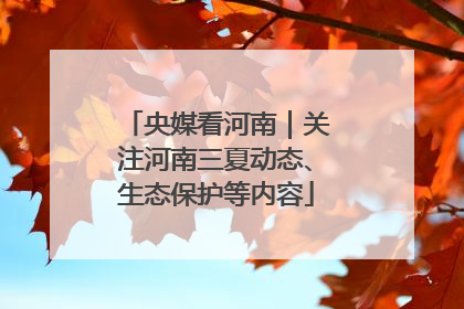 央媒看河南｜关注河南三夏动态、生态保护等内容